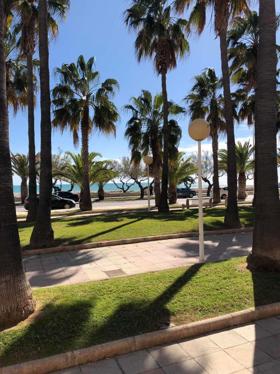 House Marlin - Housity