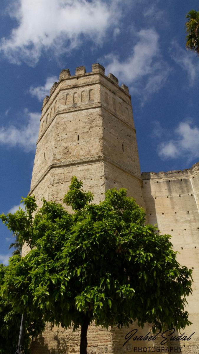 Sherry house - Housity