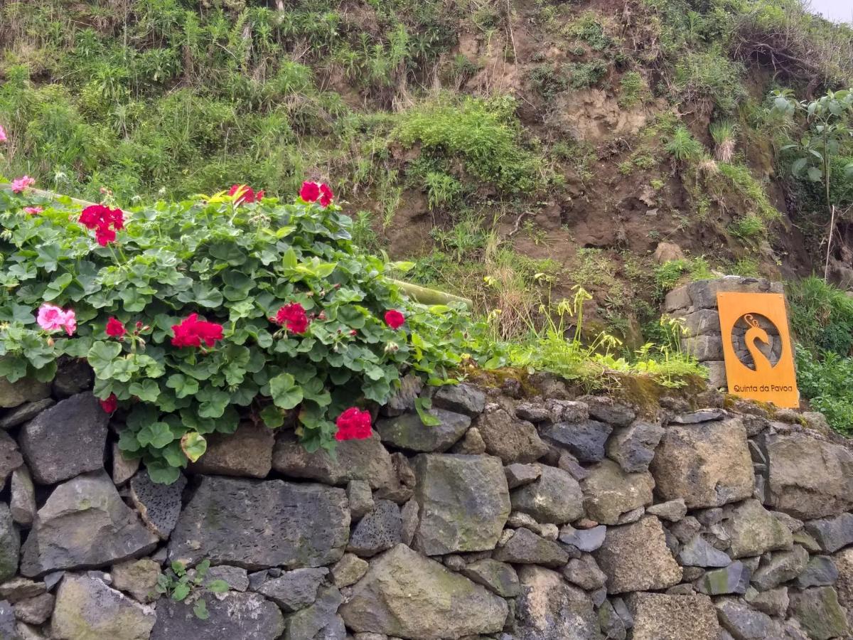 Quinta da Pavoa - Cottage House - Housity