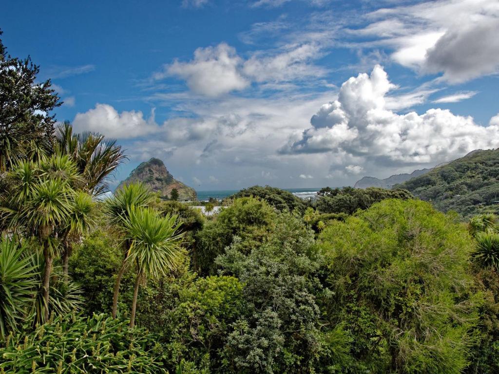 Surfer's Sunshine Cottage - Piha Holiday Home - Housity