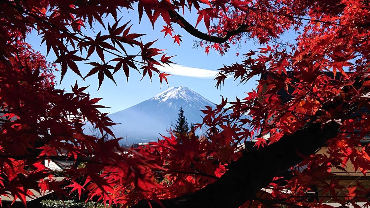 Lake Villa Kawaguchiko - Housity