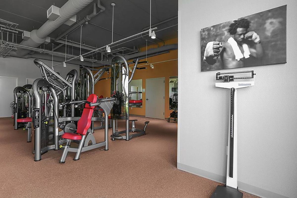 Holiday Inn and Suites East Peoria by IHG - Housity