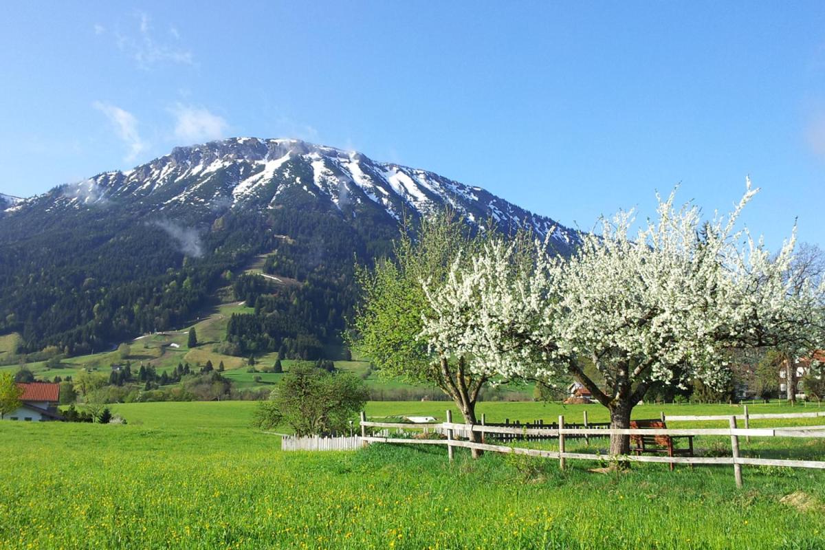 Haus Lenzer - Housity