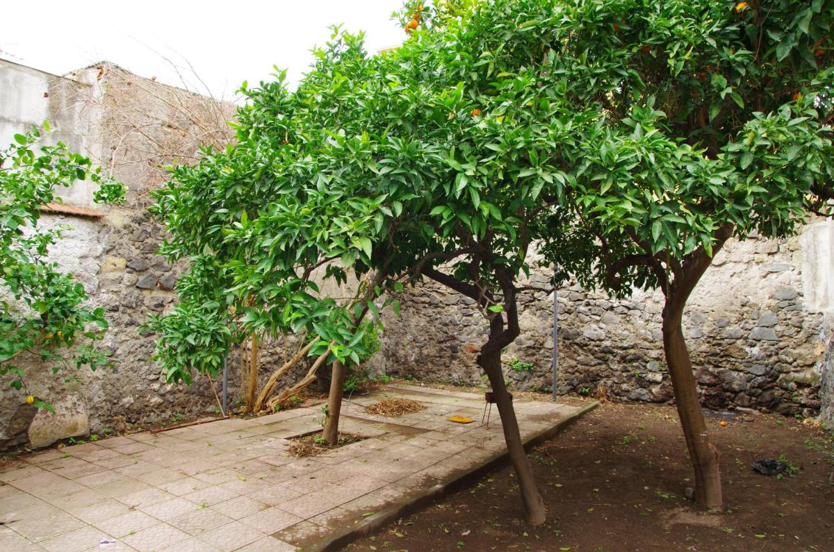 villa liberata - Housity