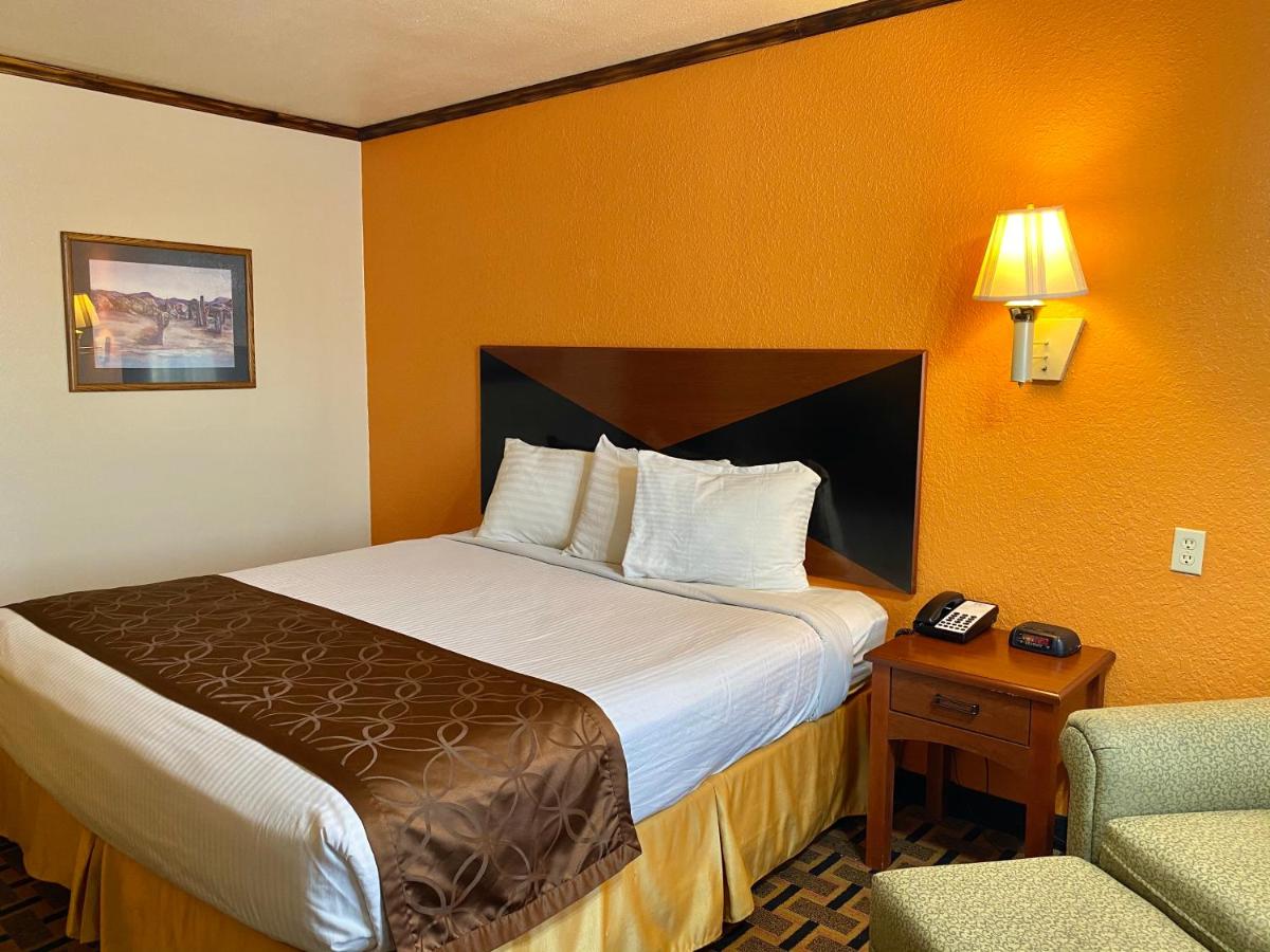 Green bird Inn - Housity