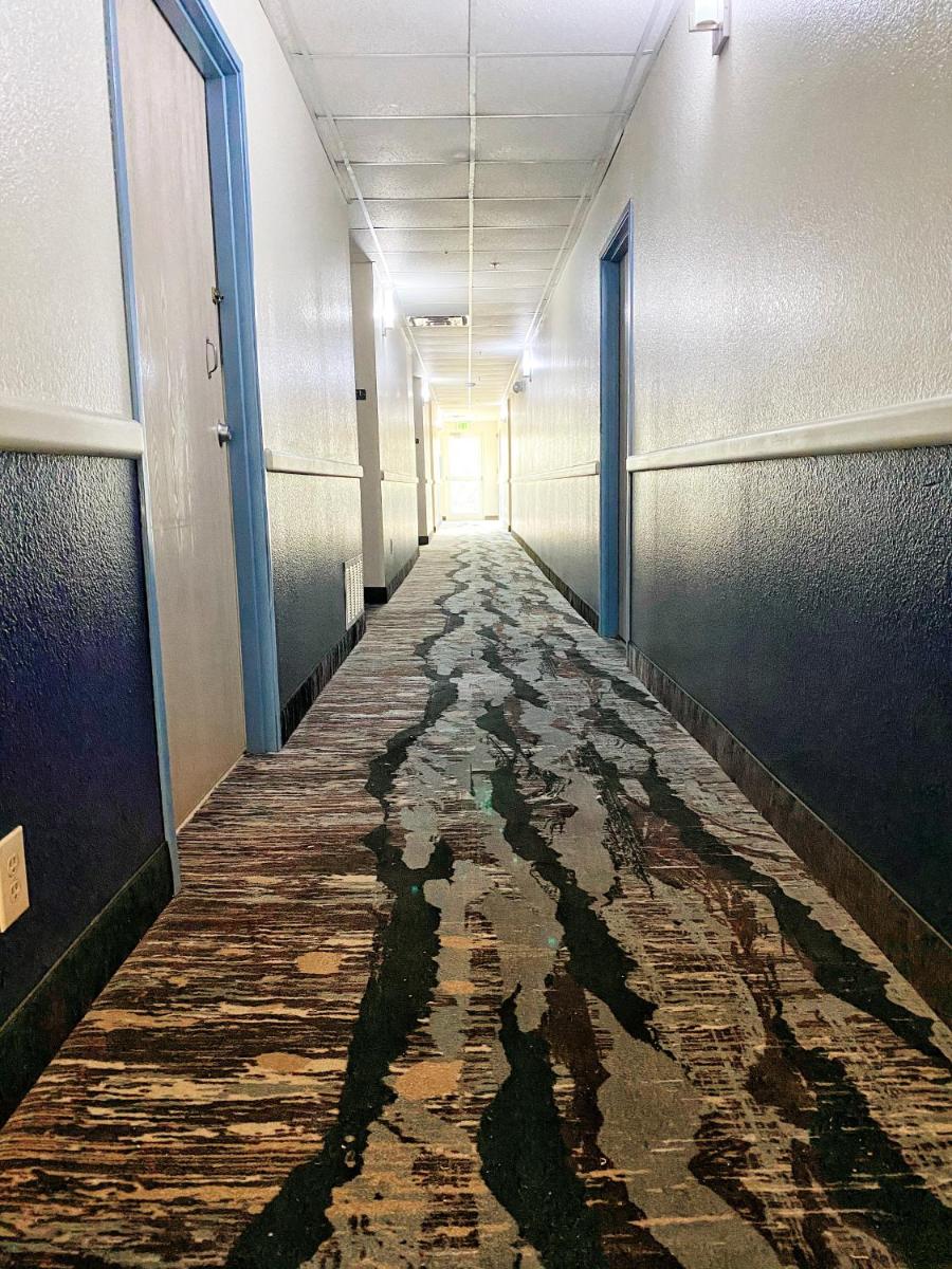 Lone Star Inn - Housity