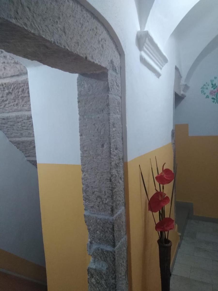 Rosa Lentorada - Housity