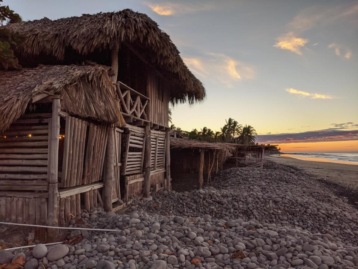 Pelicano Surf Camp - Housity