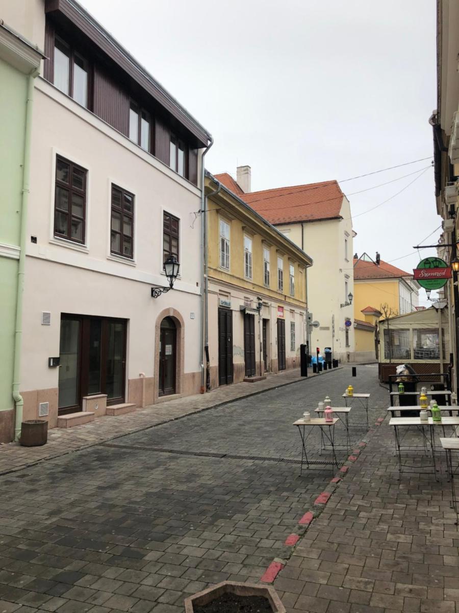 K29-cozy apartment in the dowtown of Győr - Housity