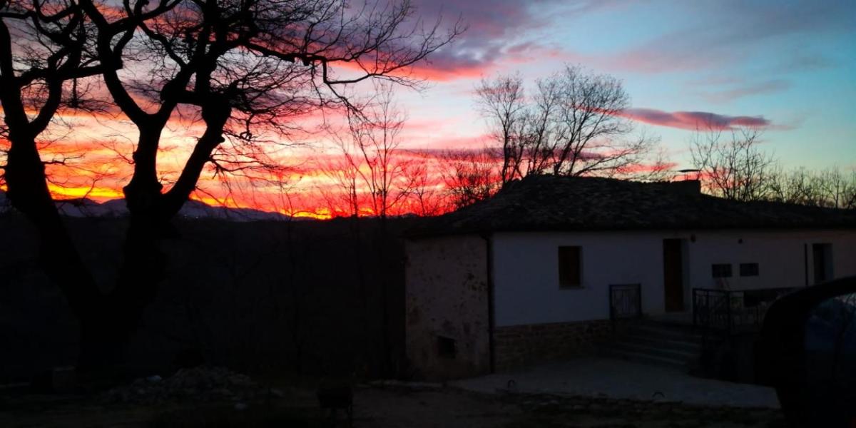 the Oak house - Housity