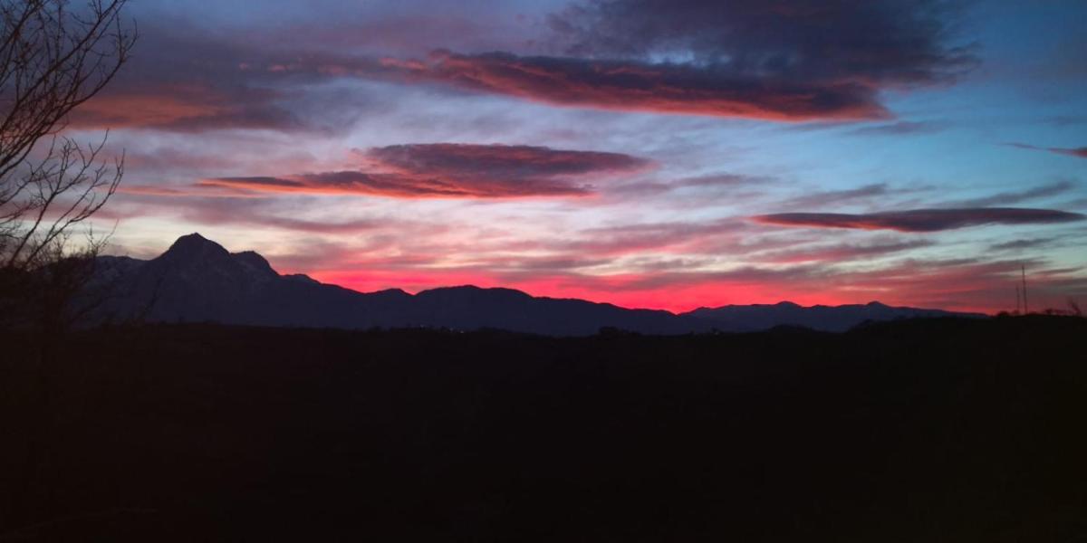 the Oak house - Housity