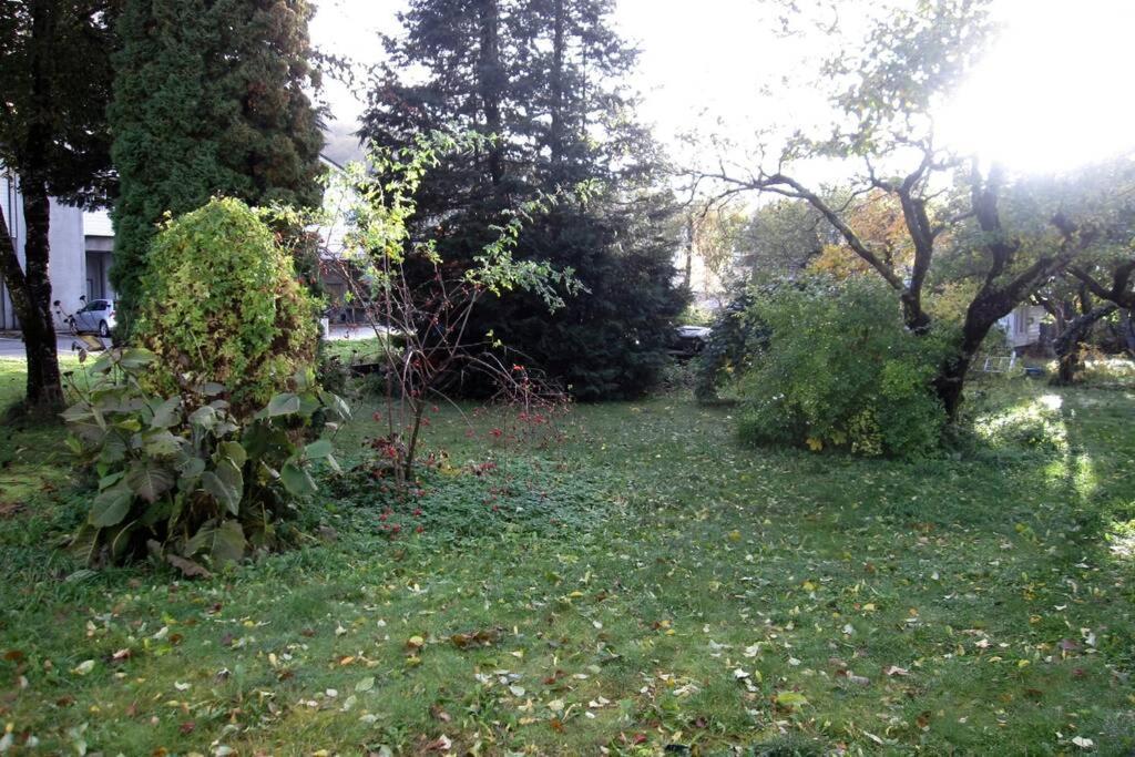 Trolltunga, Jondal, Sommerski - Housity