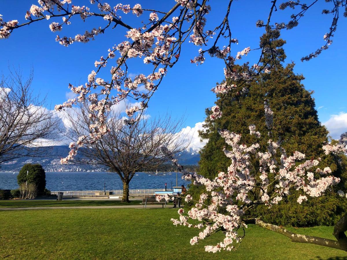 Mid Century Getaway Home - Kitsilano - Vancouver - Housity