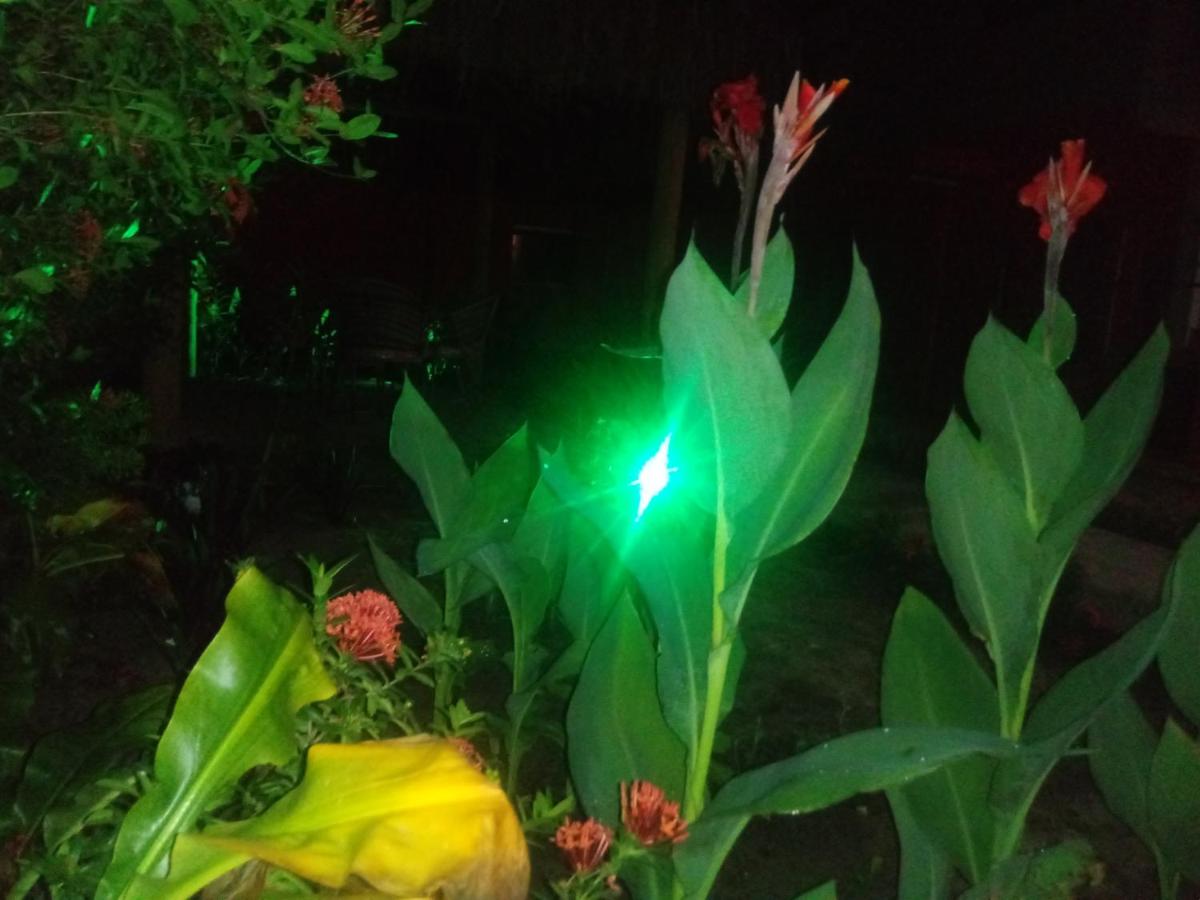 Pousada Luar de Monte Cristo - Housity