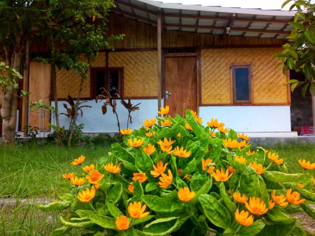 Pondok Wahyu - Housity