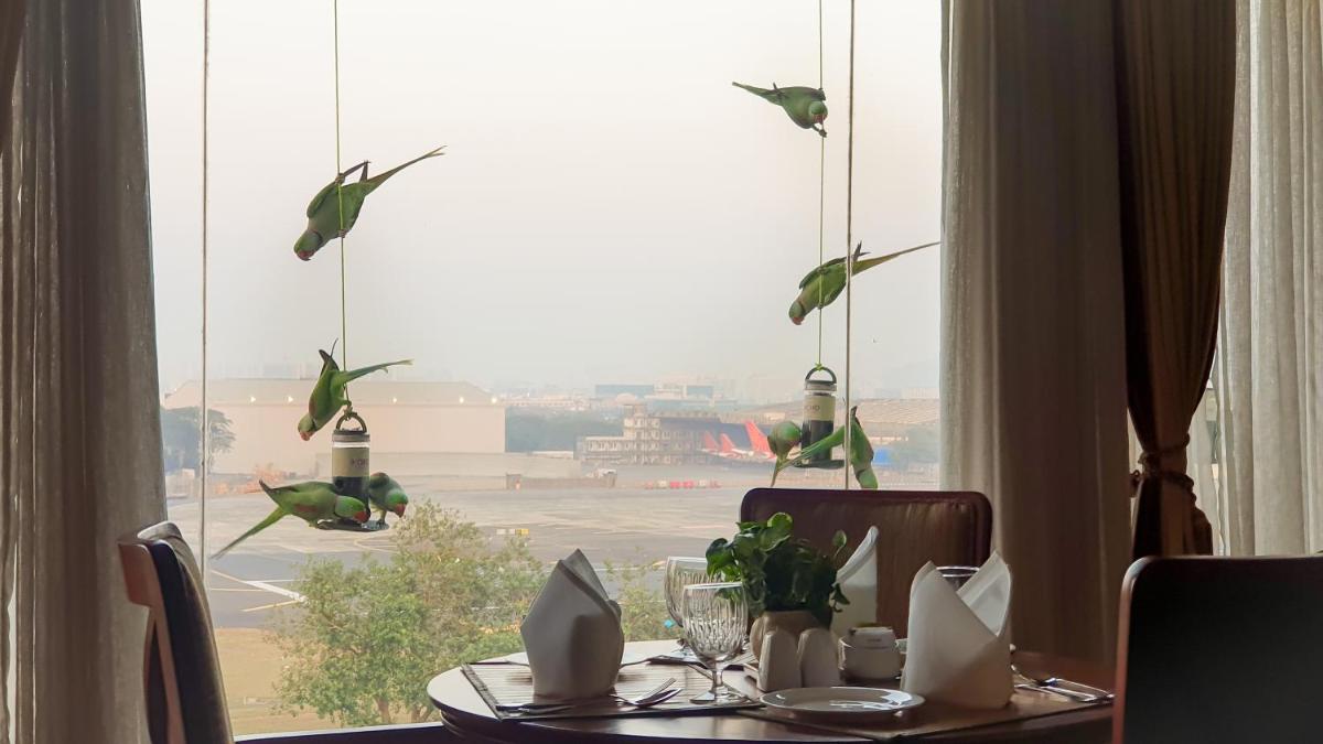 a table with birds on the window of an airport at The Orchid Hotel Mumbai Vile Parle in Mumbai