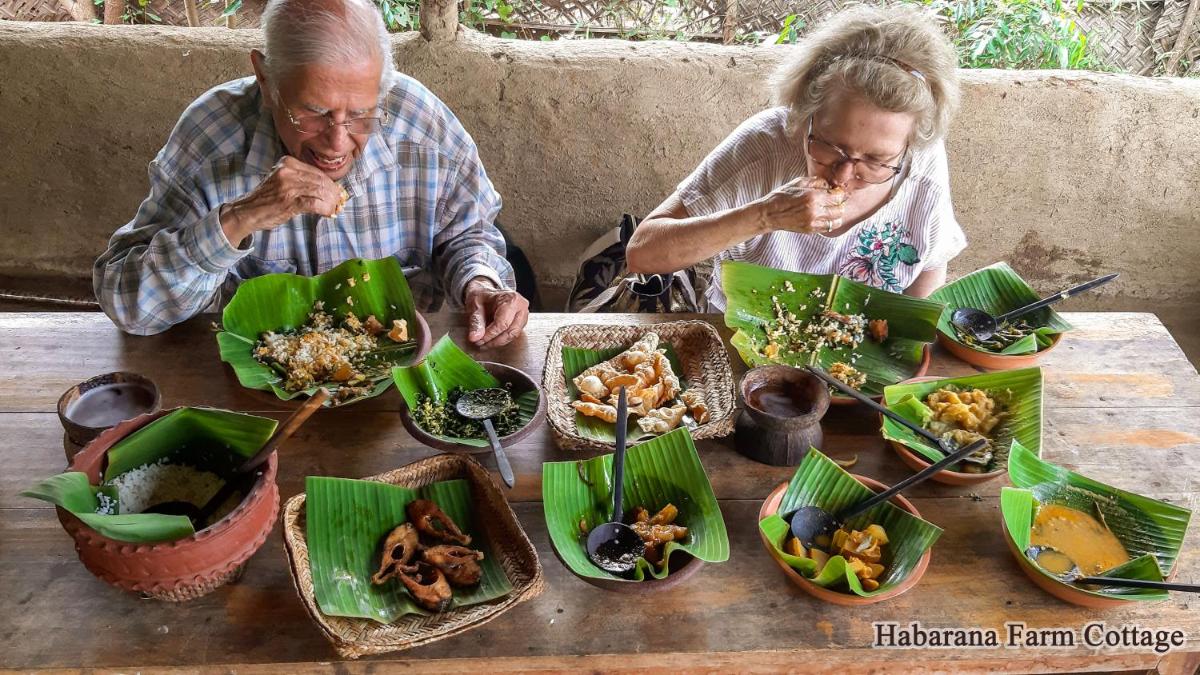 Habarana Farm Cottage - Housity