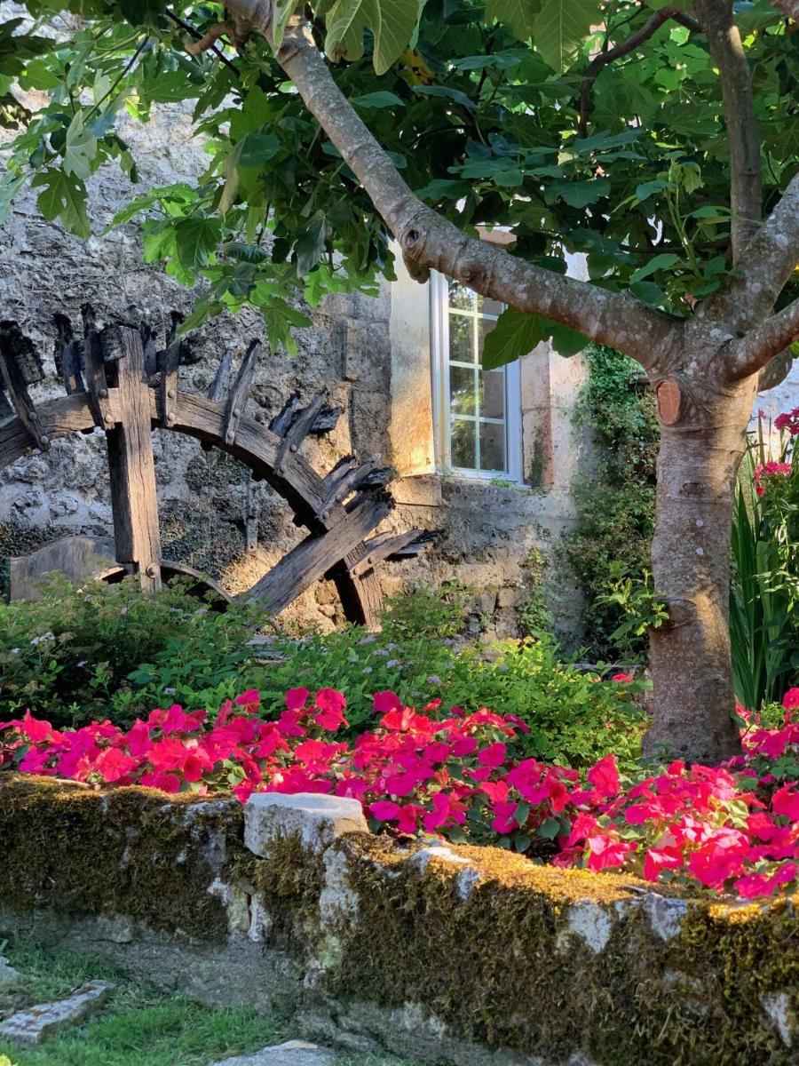 Jardin de l'établissement Le Moulin du Roc