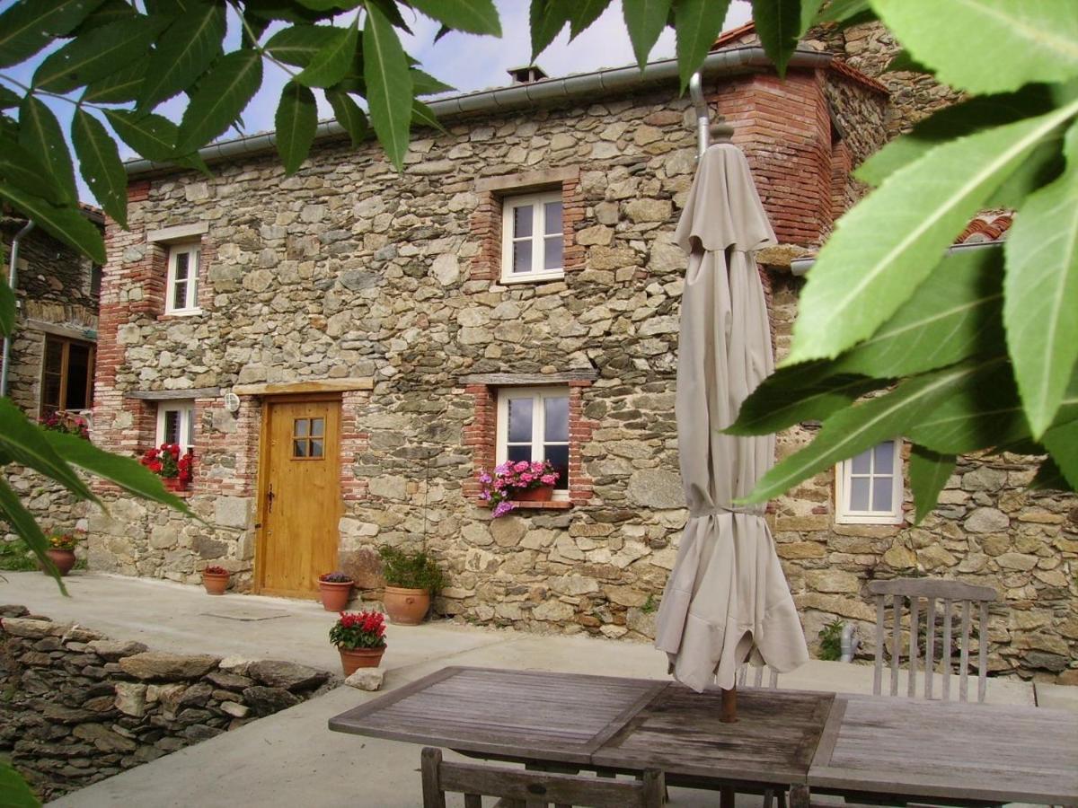 Mas Taillet Le Camelia - Housity