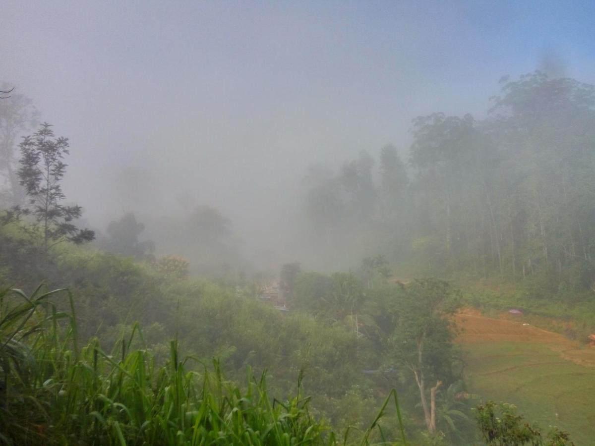 Isuru Homestay - Housity