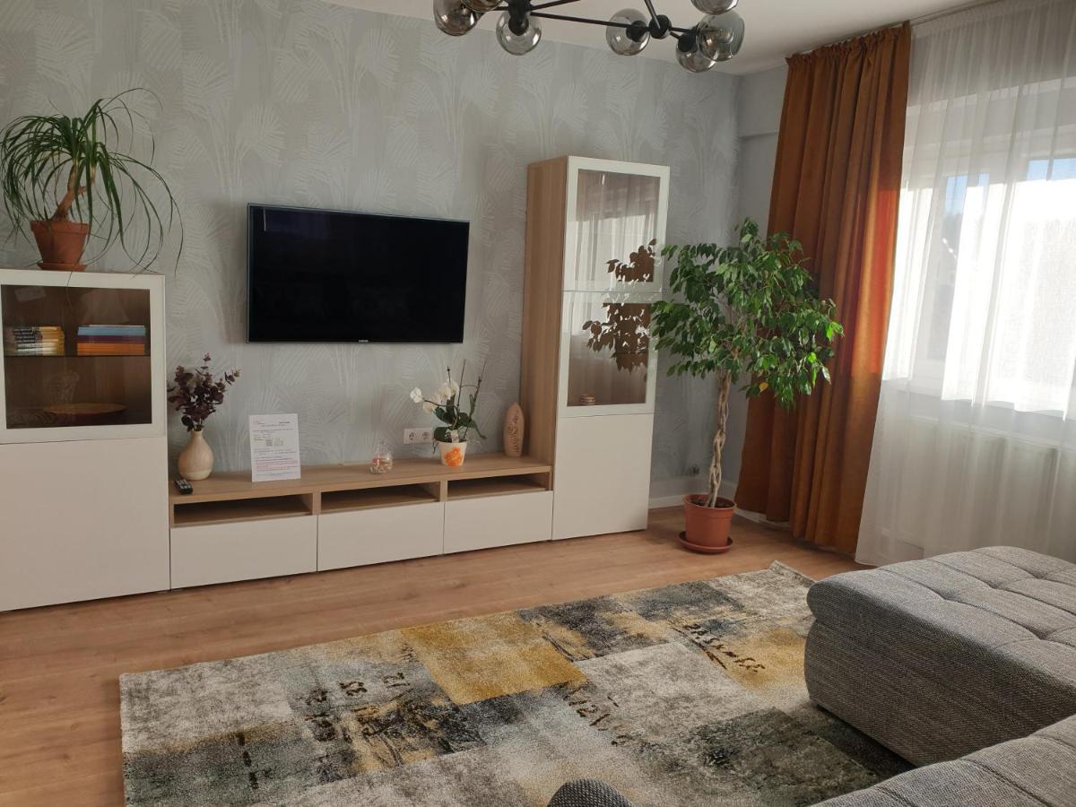 City Apartment Cipariu - Housity