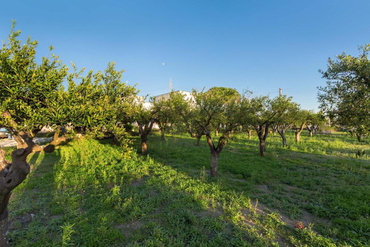 Casina Farnarari by BarbarHouse - Housity