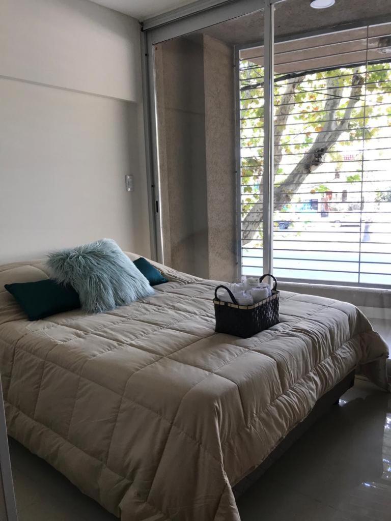 Departamento Zona Norte - Housity