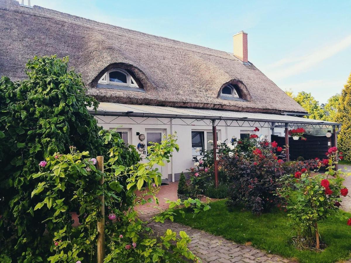 Reet Landhaus Rügen - Housity