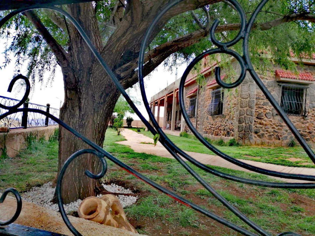 Tamanoucht - Housity