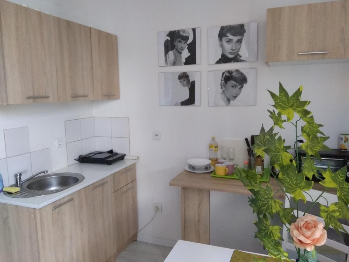 APARTAMENT JASNY NOCLEGI PŁOCK - Housity