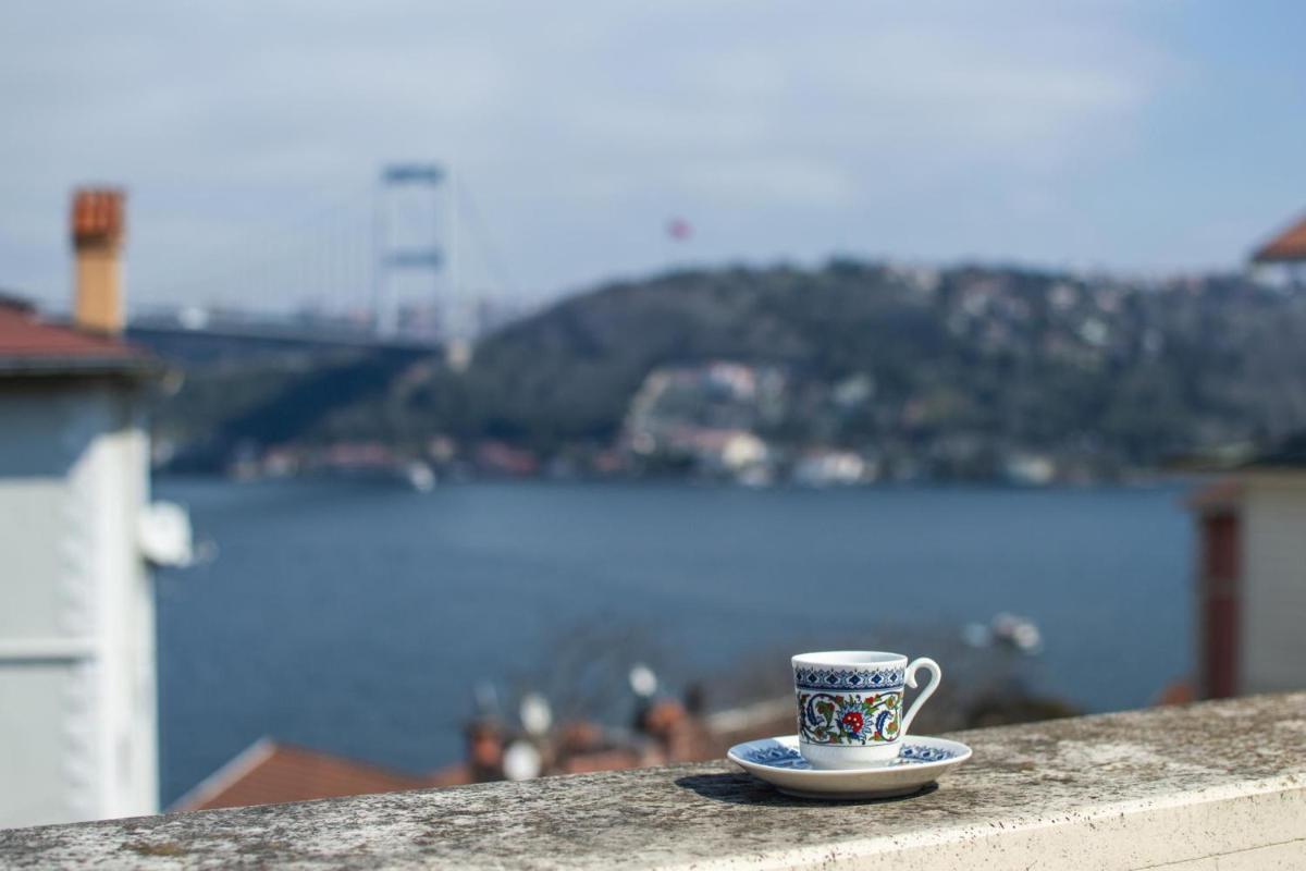 Stunning Duplex with Amazing Bosphorus View - Housity