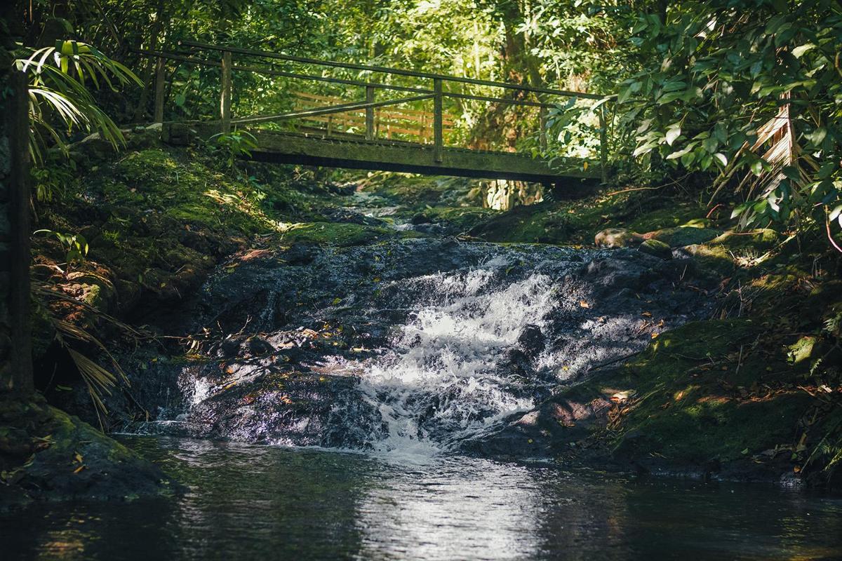 Termales del Bosque & Hot Springs - Housity