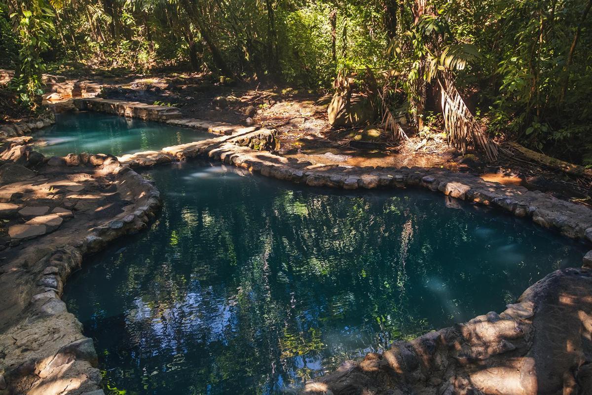 Termales del Bosque & Hot Springs - Housity