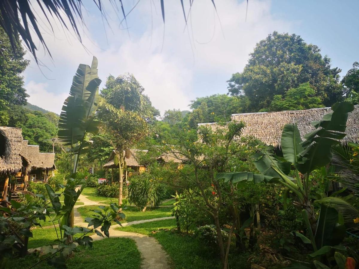 Jungle Garden - Housity