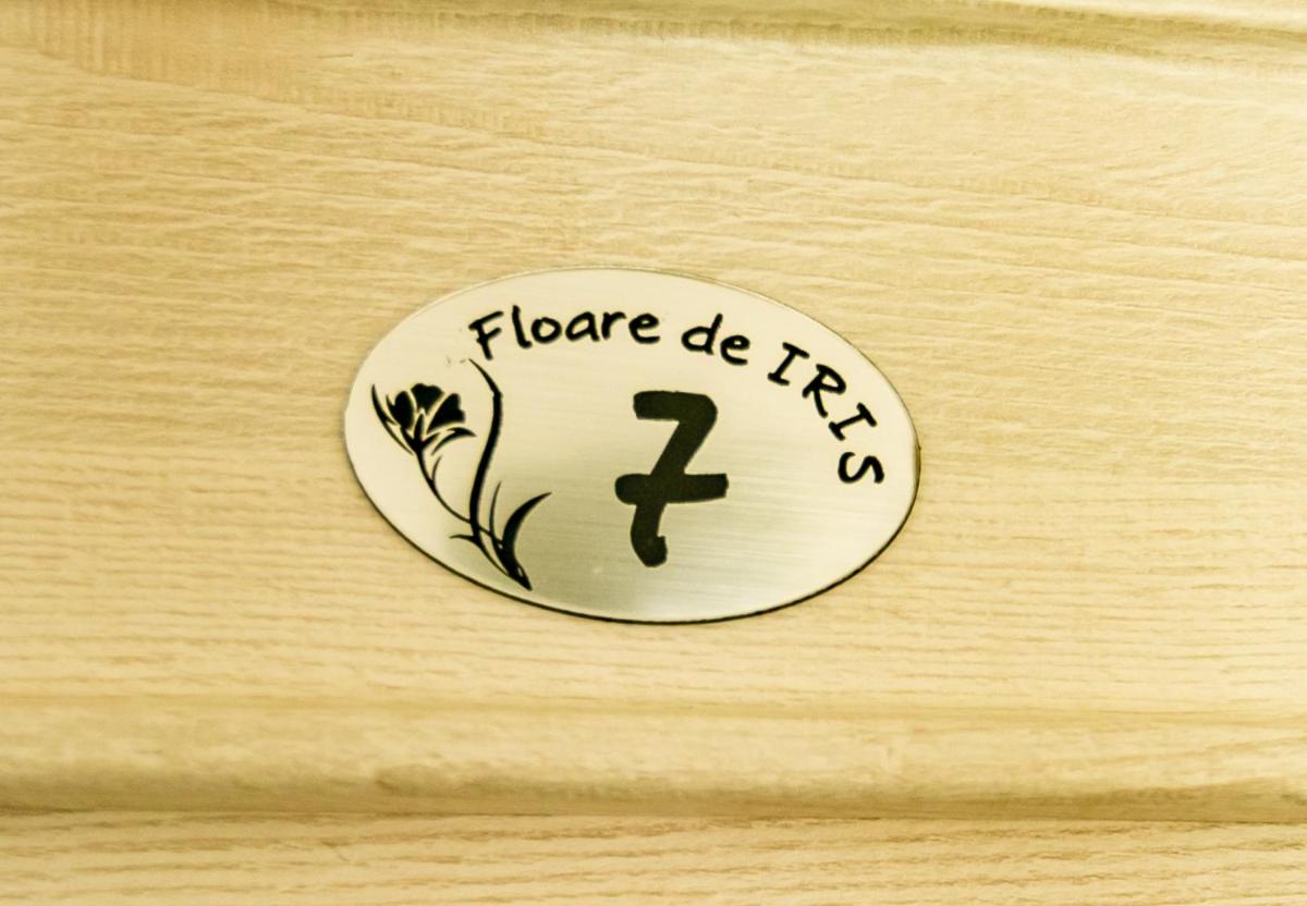 Floare de Iris - Housity