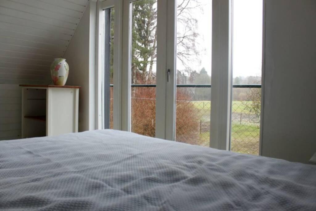 Stråtækt idyl i skoven - Housity