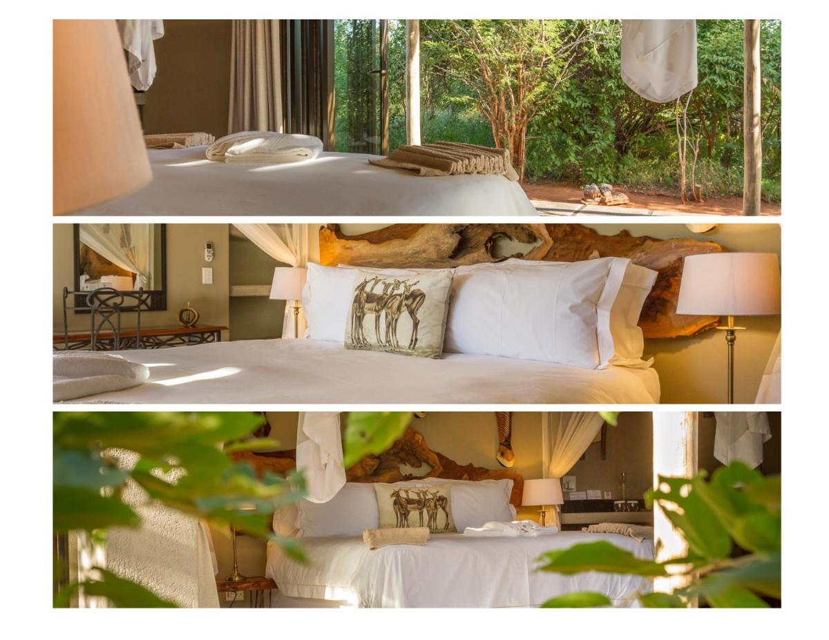 Ukuthula Bush Lodge - Hizvo