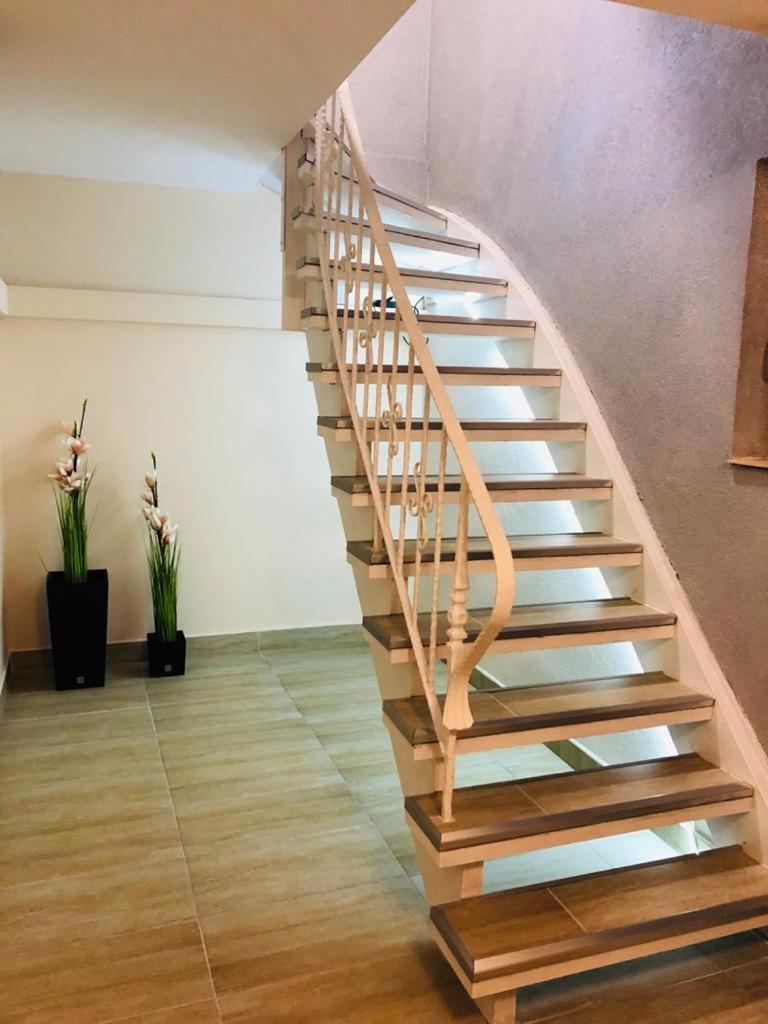 Noblesse Hause - Housity