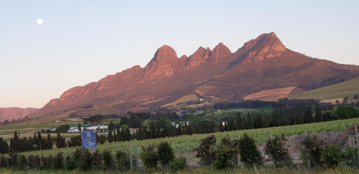 Modern spacious home in heart of Cape Winelands - Housity