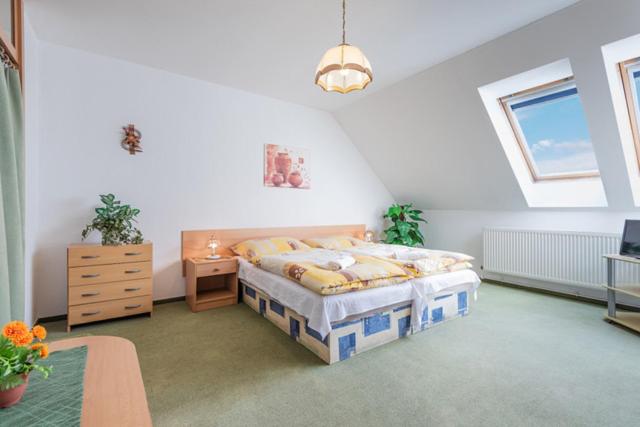 Hotel Pension u Mydlářů - Housity