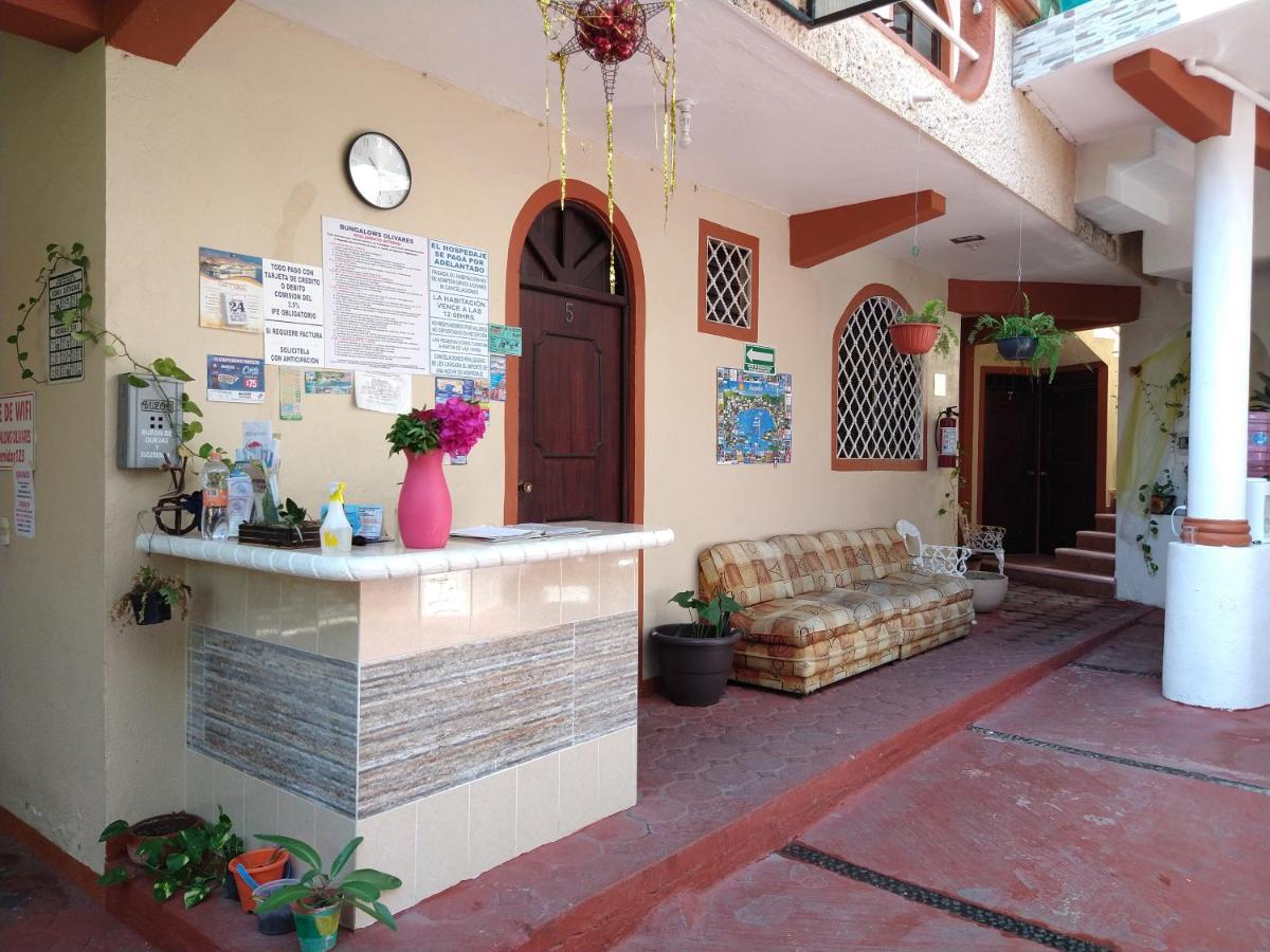 Hotel y Bungalows Olivares - Housity