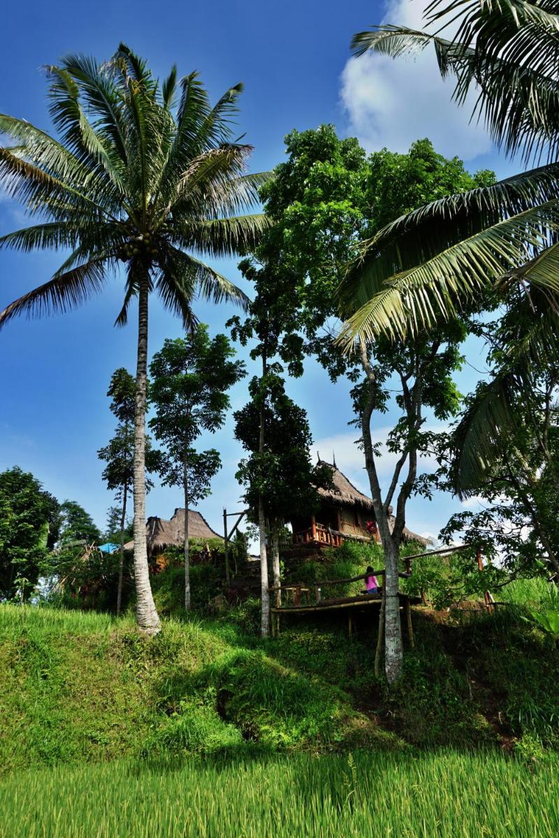 Satu Lingkung - Housity