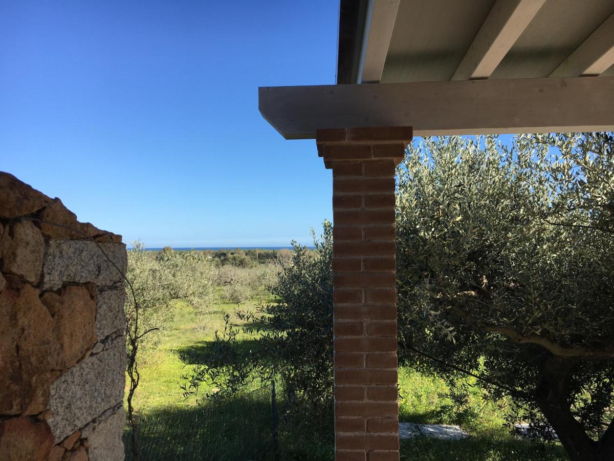 Sa Tanca de Mannoi - Housity