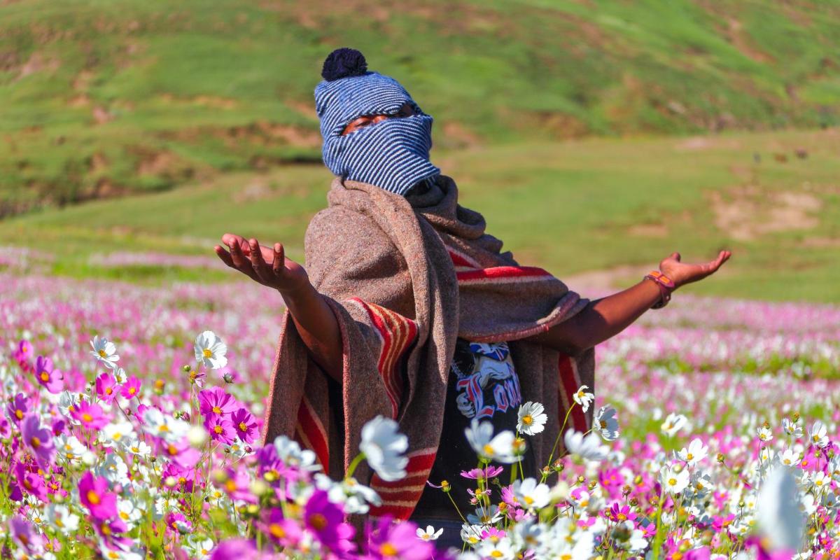 Mants’ebo Guest House Mokhotlong - Housity