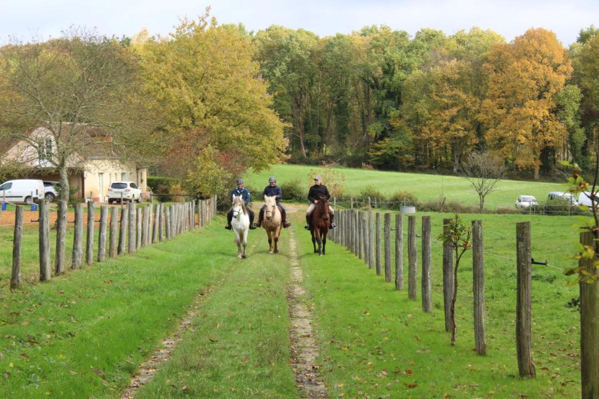 Chambre d'hôte en Vallée du Loir - Elevage des Rosiers - Housity