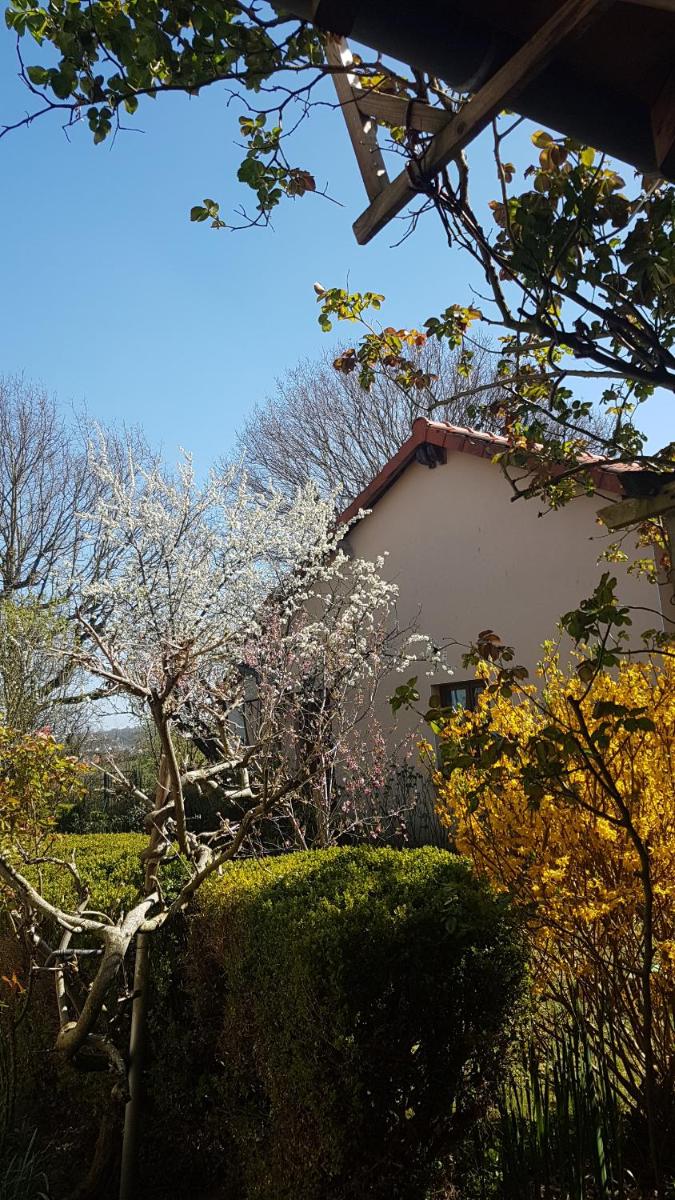 MIRABELLE - Housity