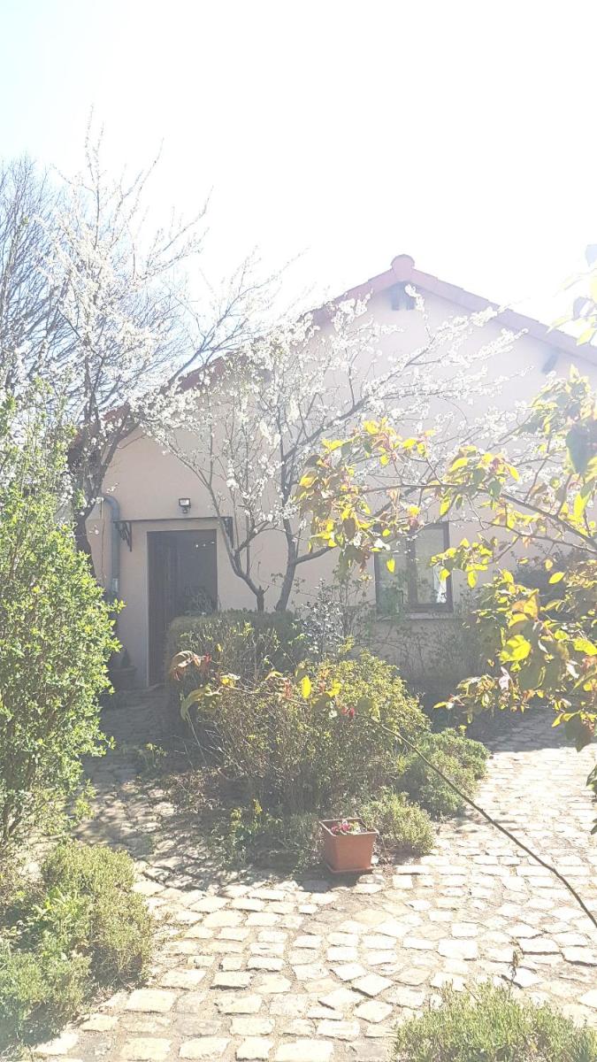 MIRABELLE - Housity