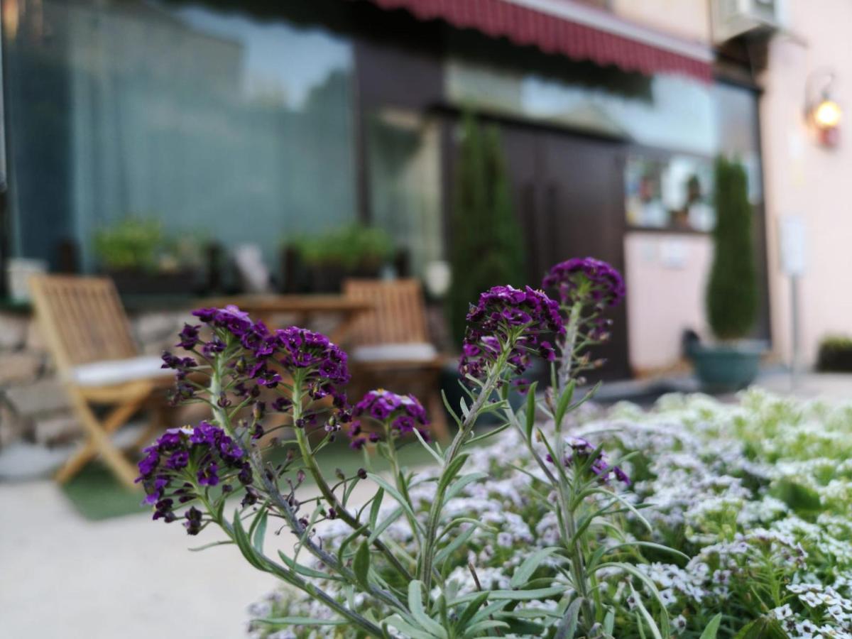 Jardín al aire libre en Hotel Cardamomo Sigüenza