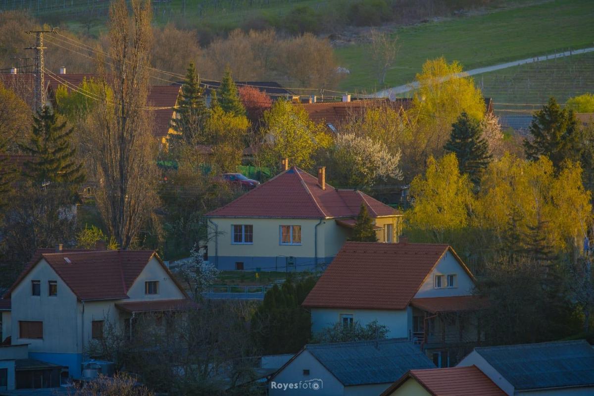 Livi Apartman - Housity