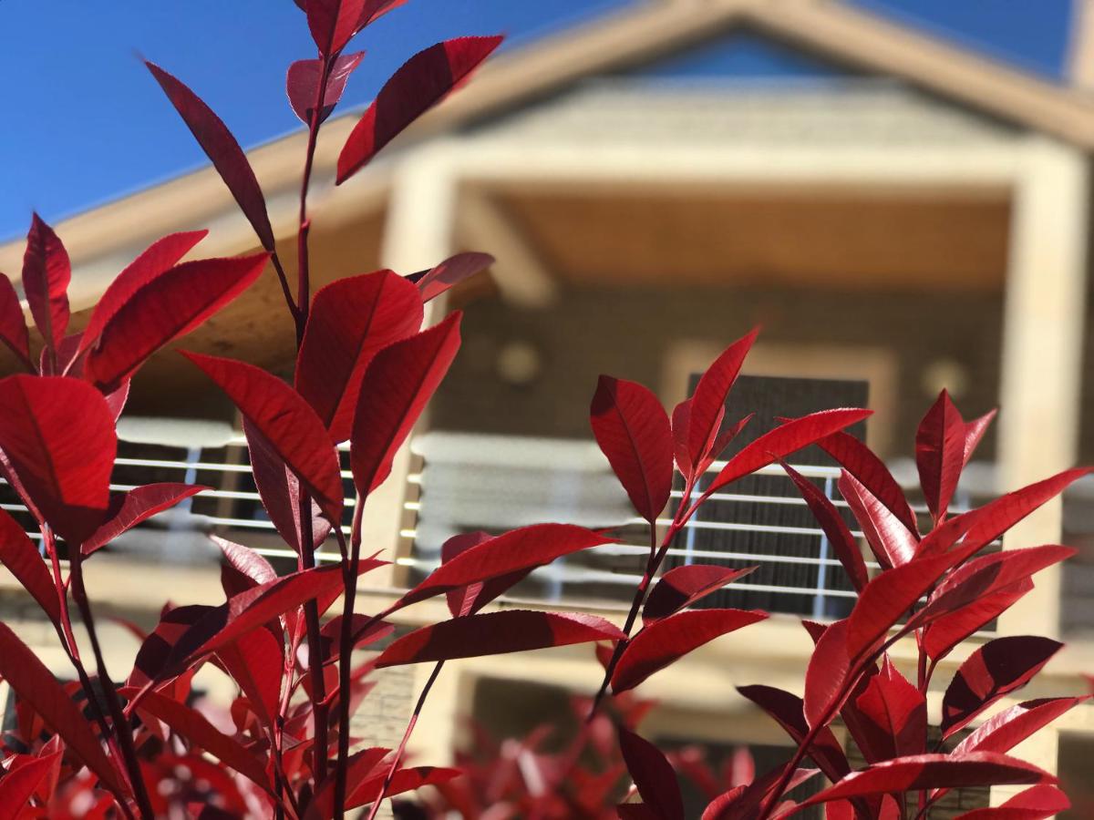 Villa Garden Shkodra - Housity